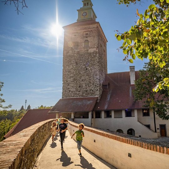 kinder-auf-der-burg