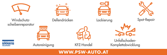 PSWAutoreinigung