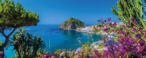 A view of Sant'Angelo in Ischia island in Italy: Tyrrhenian sea, bougaiunvillea glabra, rocks, water, umbrella, sand and old typical houses in the island in front of Naples in Campania region in a sunny day