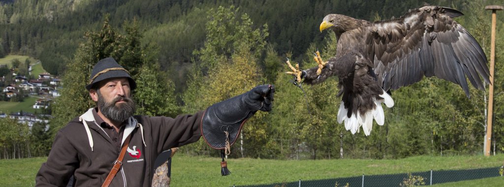 Greifvogelpark.JPG