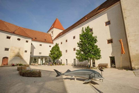 SchlossORTH