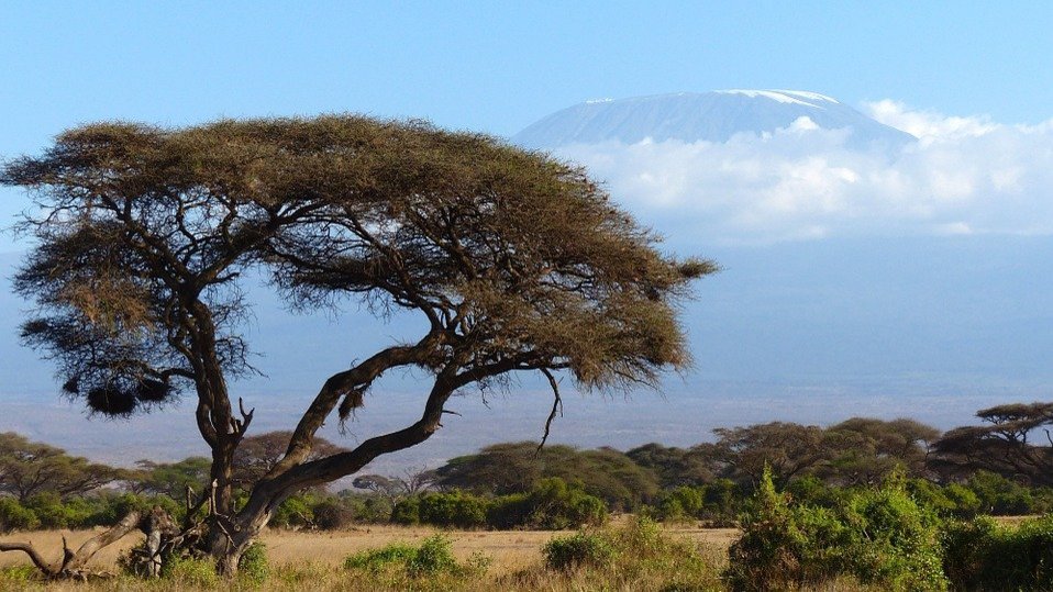 Foto vom Berg Kilimanjaro in Kenia