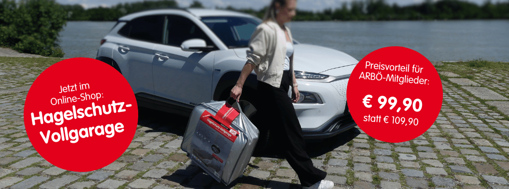 Hagelschutz-Garage: Günstig im Onlineshop 