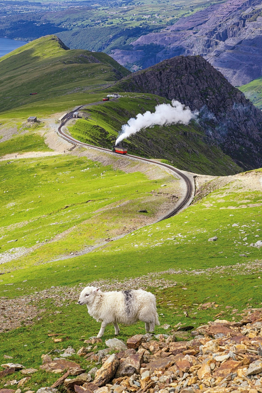 gebirgige Landschaft mit sattem, grünen Gras und Schafen entlang der Zugstrecke
