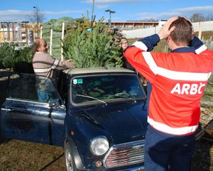 Bild von Christbaum-Transport